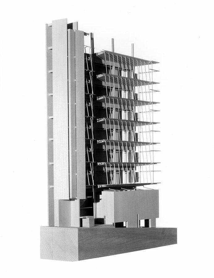 洋書 Structure as Architecture Morphopedia - Architecture