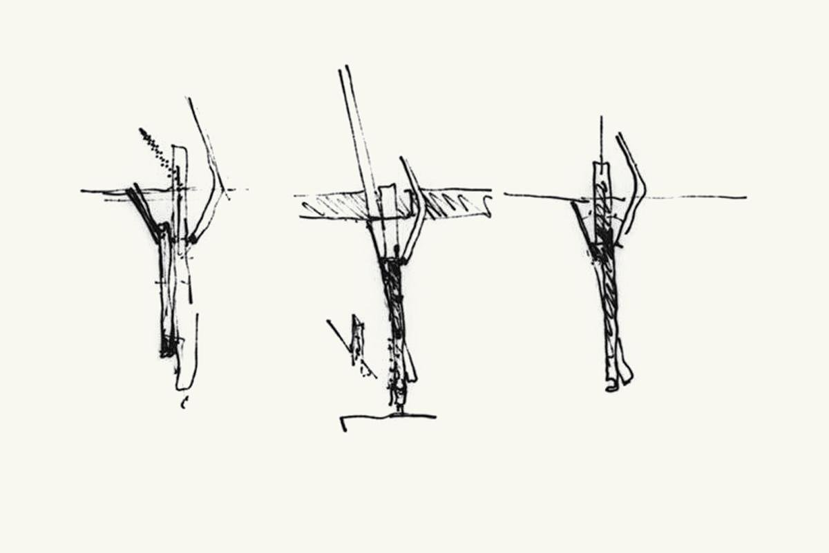 Morphopedia - Architecture
