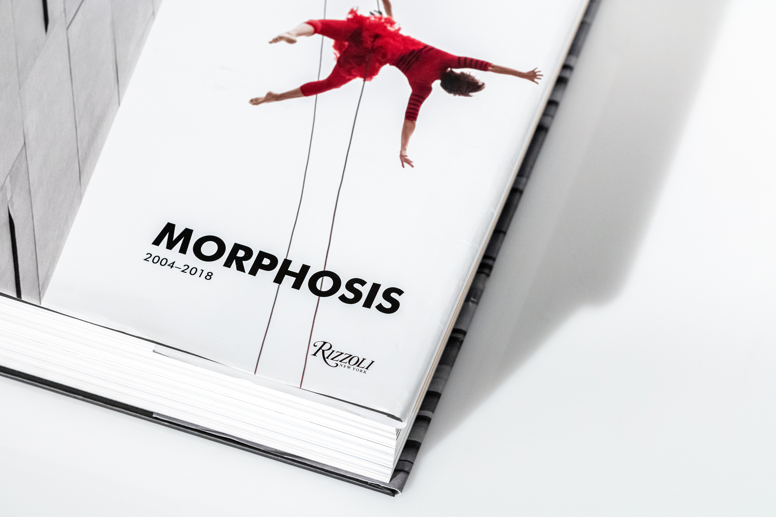 Morphopedia - About