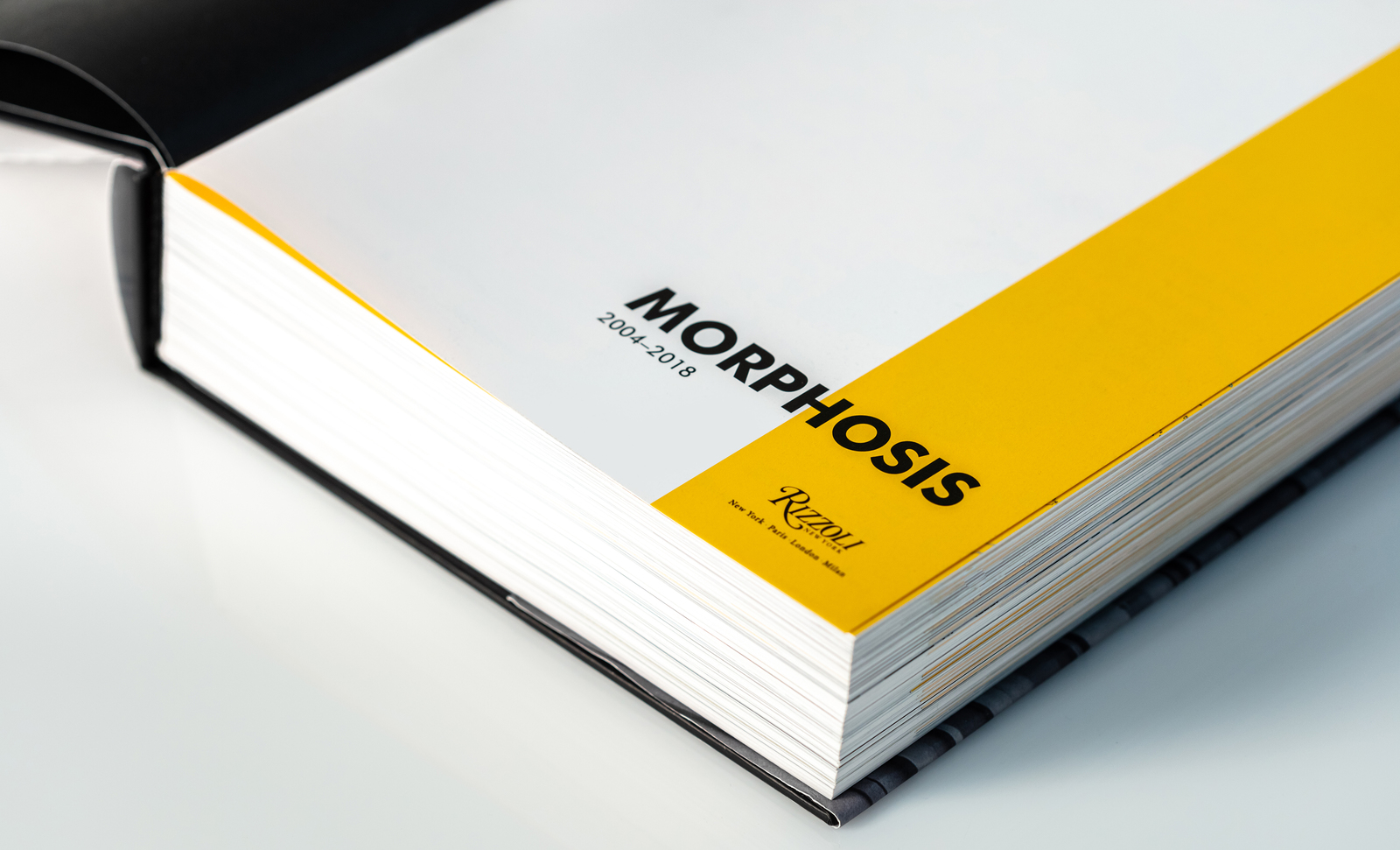 Morphopedia - About