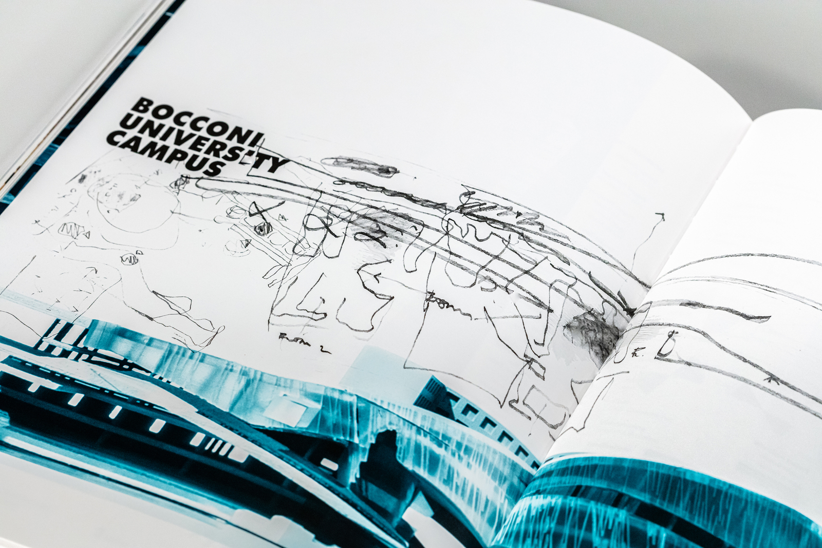 Morphopedia - About