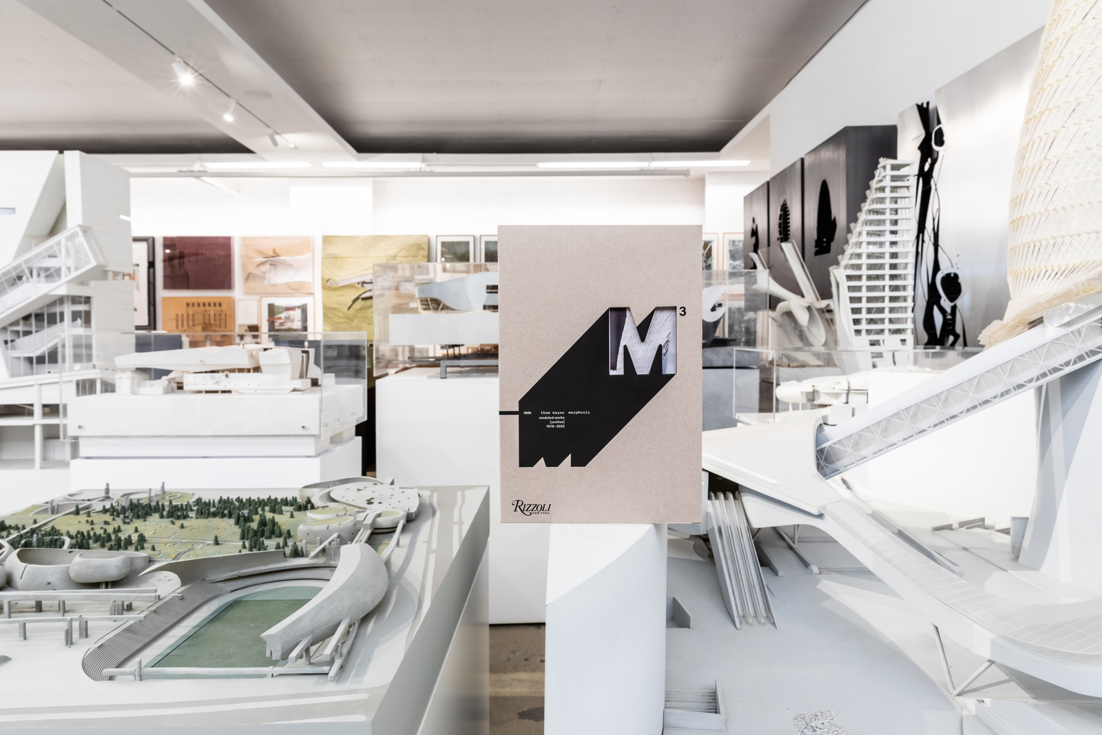 Morphopedia - Search